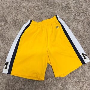Nike Michigan basketball shorts